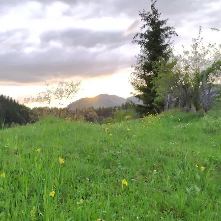 Tarska Kuca Za Odmor *