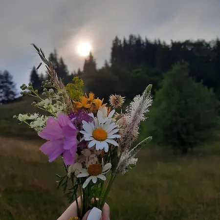 Tarska Kuca Za Odmor